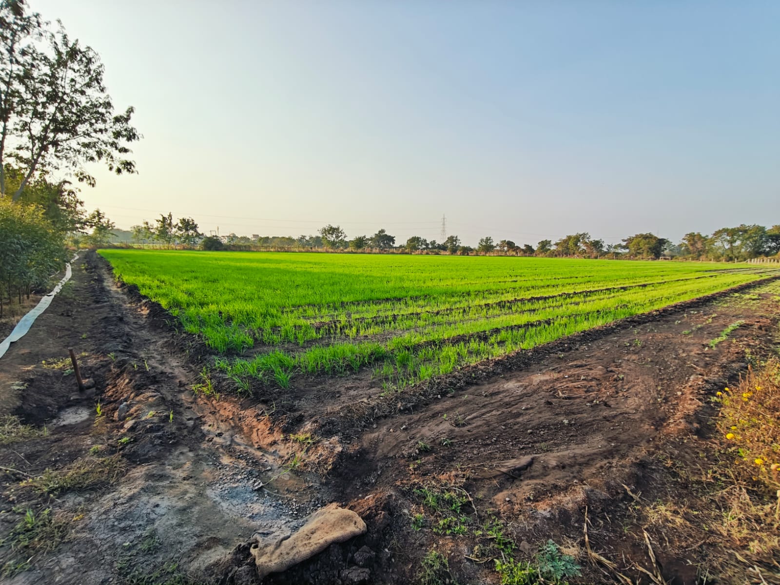 Agricultural Land For Sale