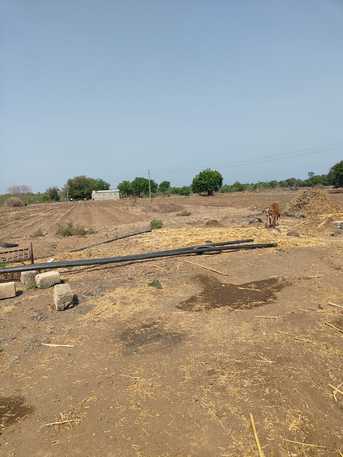 Agricultural Land For Sale