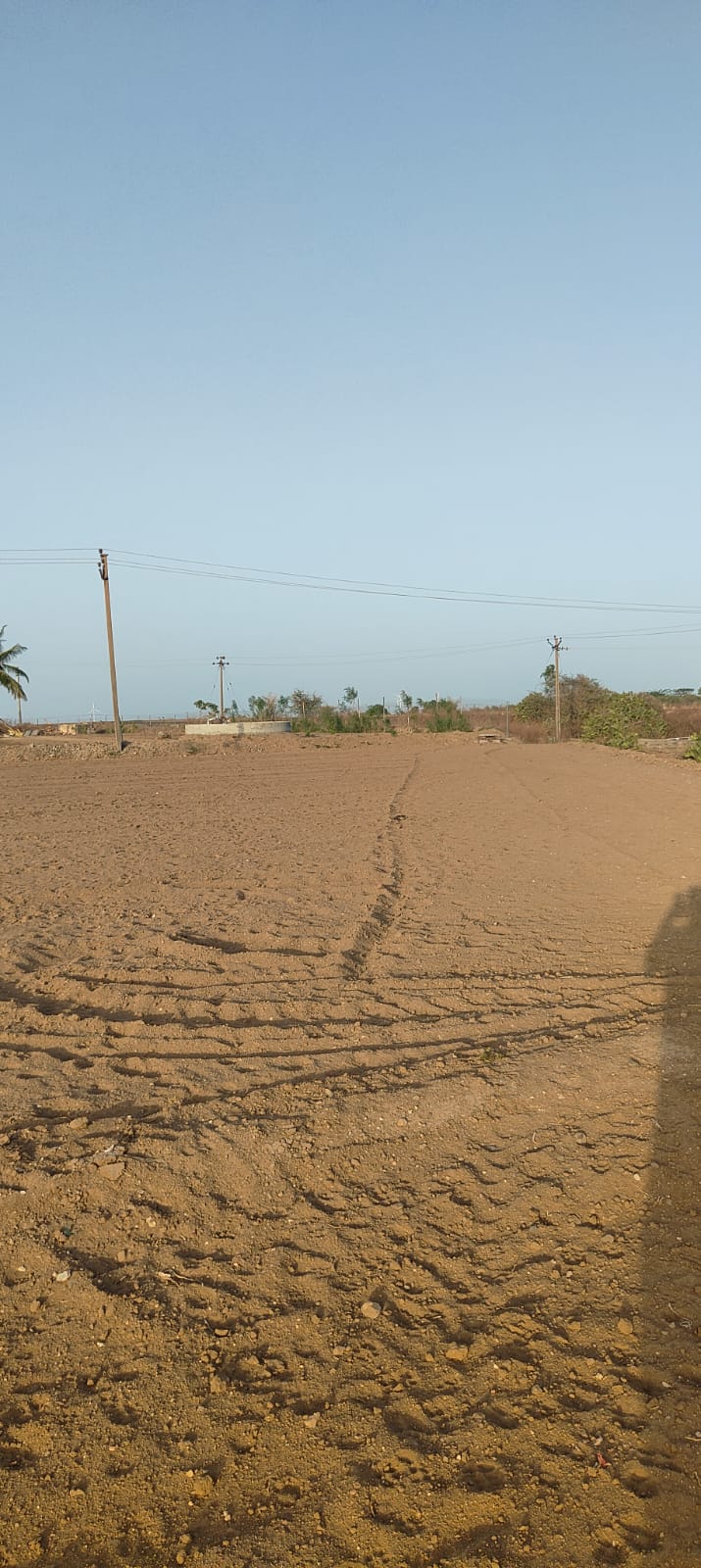 Agricultural Land For Sale