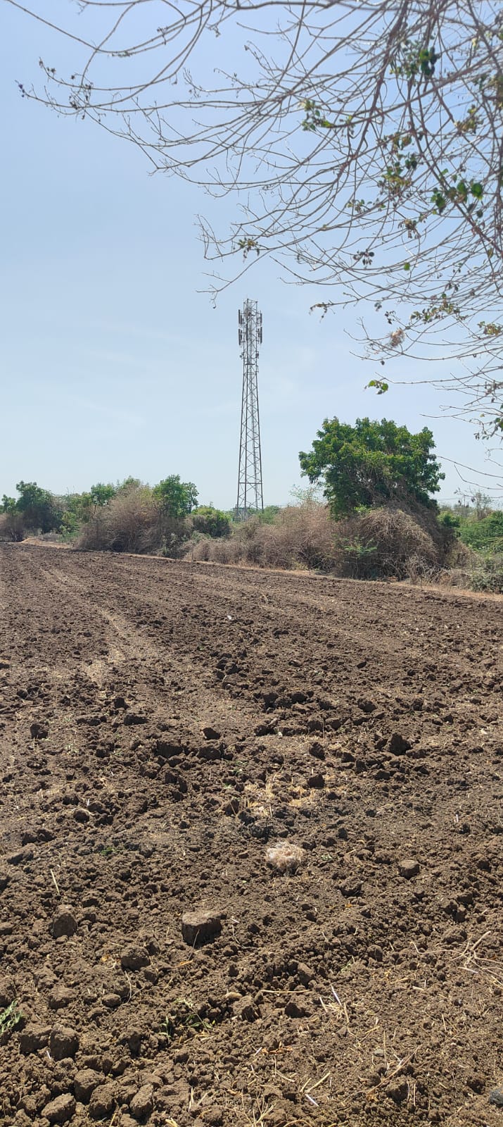 Agricultural Land For Sale
